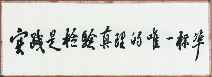 實踐是檢驗真理的唯一標(biāo)準(zhǔn).png