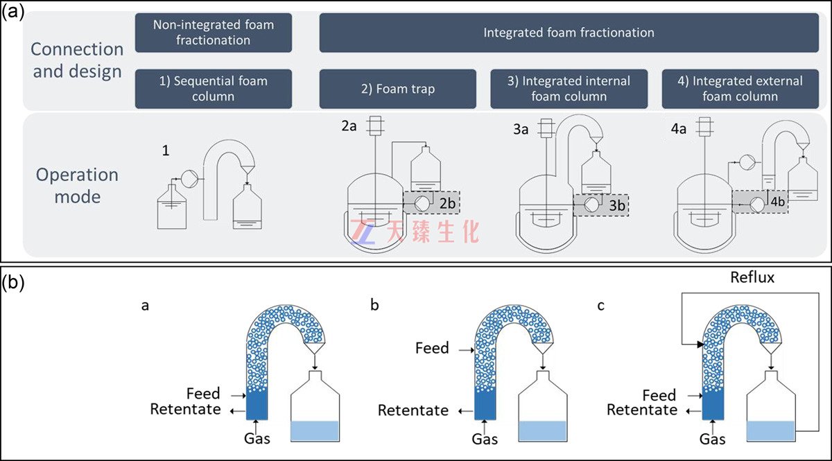 1668491411931456.jpg 發酵液泡沫回收技術.jpg